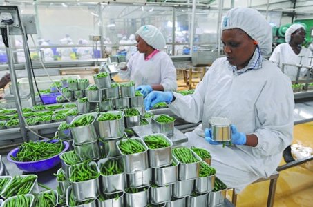 L'économie malgache ralentit avec une inflation en hausse