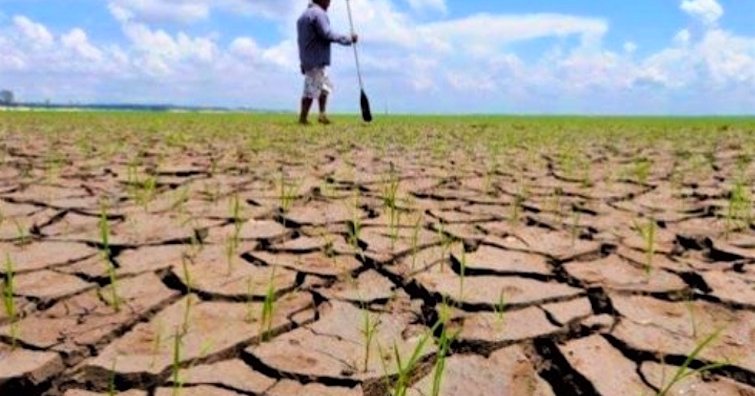 El Niño : Madagascar se prépare à une saison de sécheresse et d'inondations